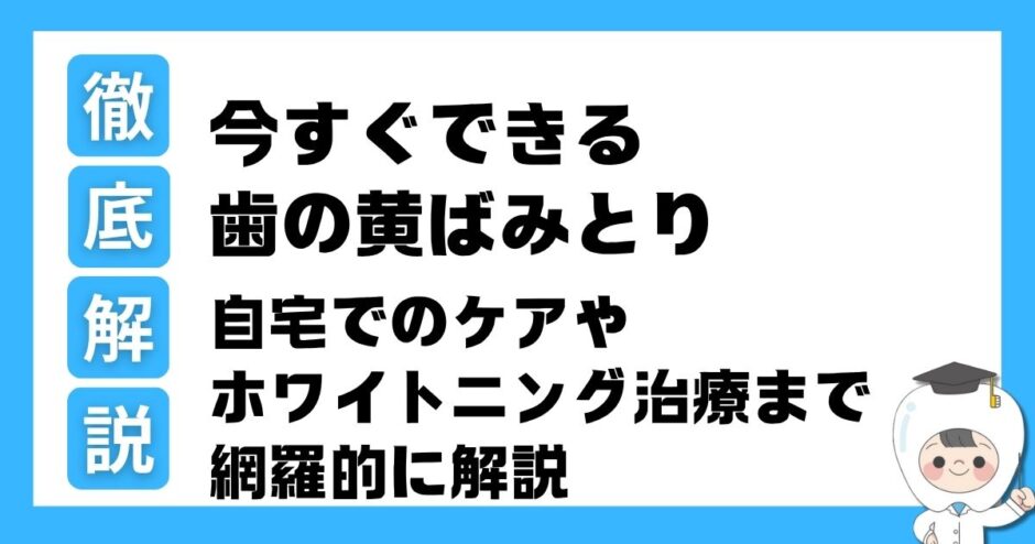 歯のきばみとり